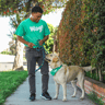 Dog Walking